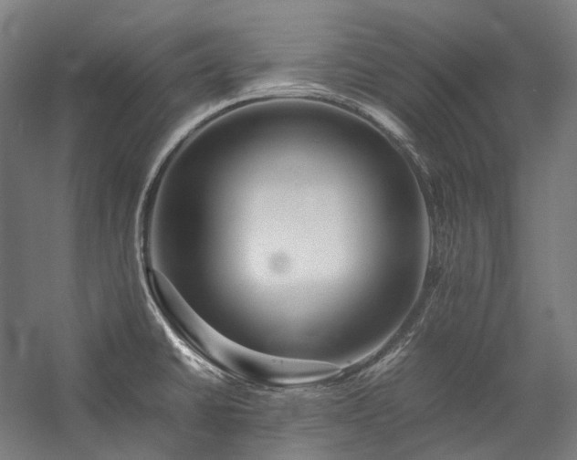 X0000057101430200509091152