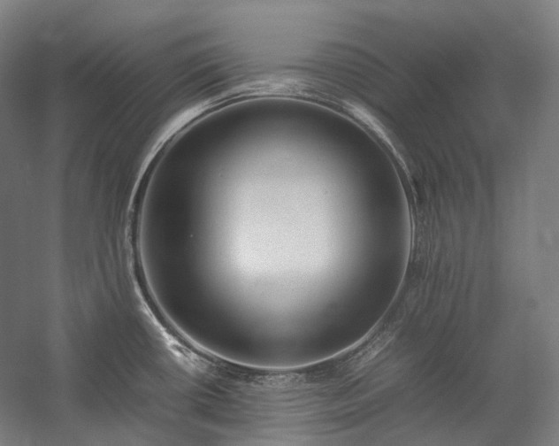 X0000057101434200509091152