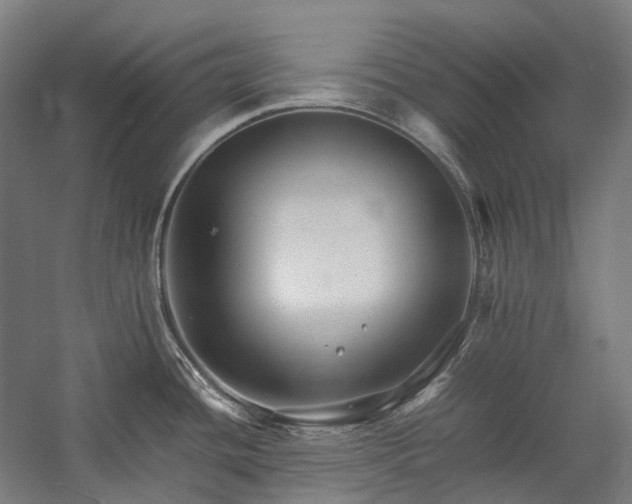 X0000057101436200509091152