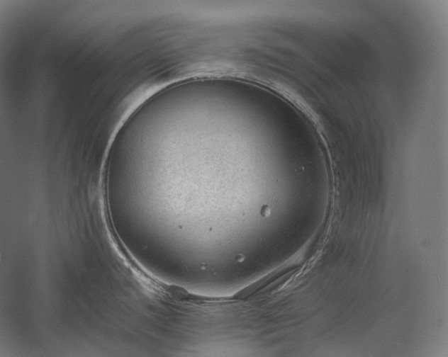 X0000057101440200509091152