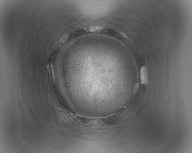 X0000057101443200509091151