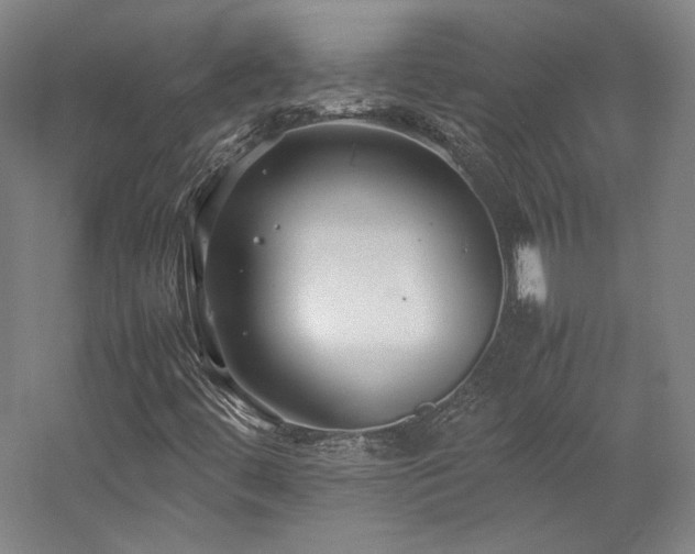 X0000057101444200509091151