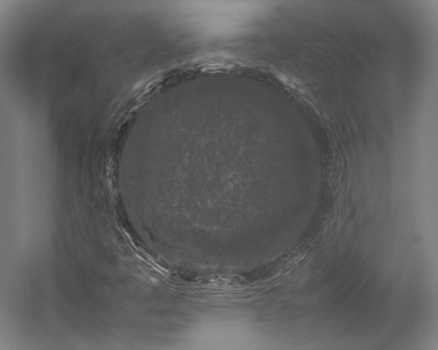 X0000057101445200509091151