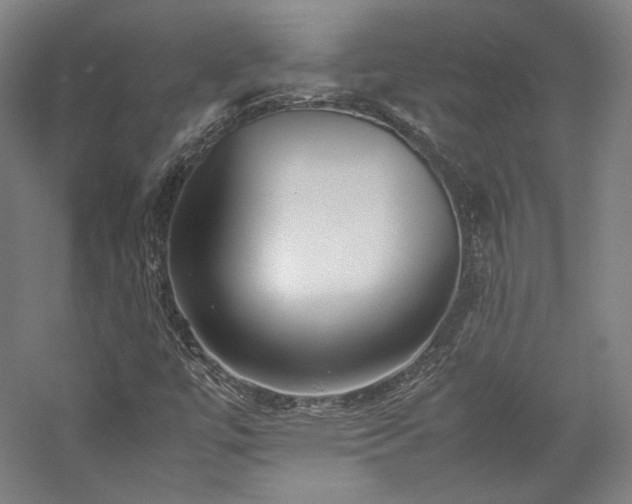 X0000057101447200509091151