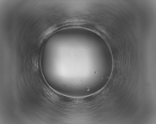 X0000057101451200509091151