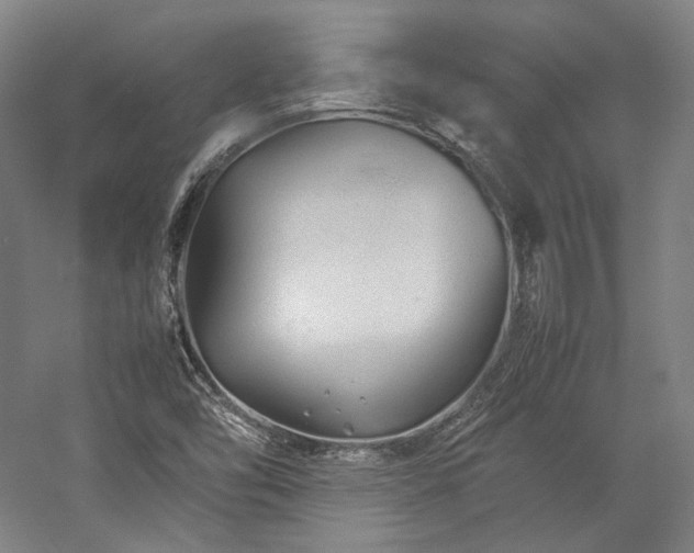 X0000057101454200509091151