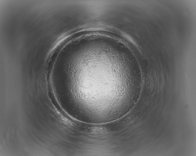 X0000057101456200509091151