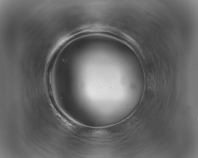 X0000057101464200509091151