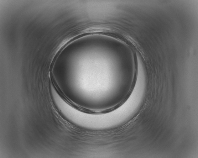 X0000057101465200509091151