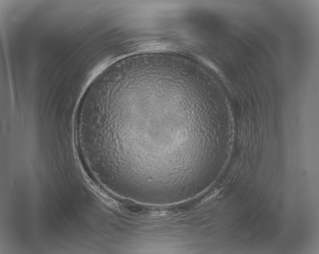 X0000057101467200509091151