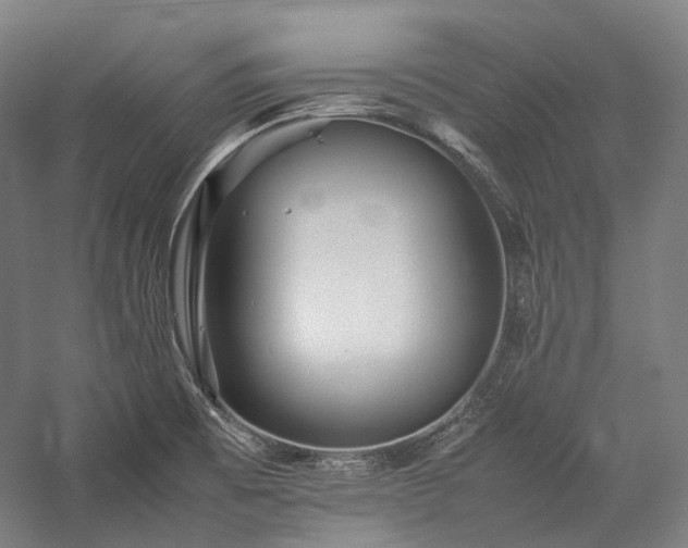X0000057101473200509091151