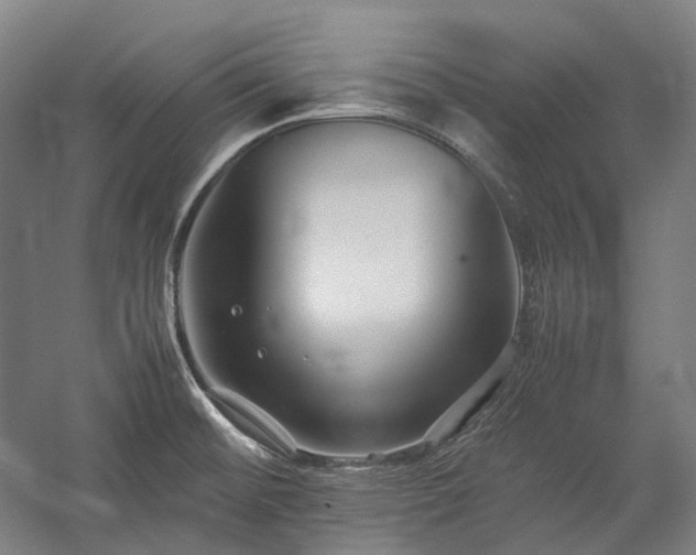 X0000057101476200509091151