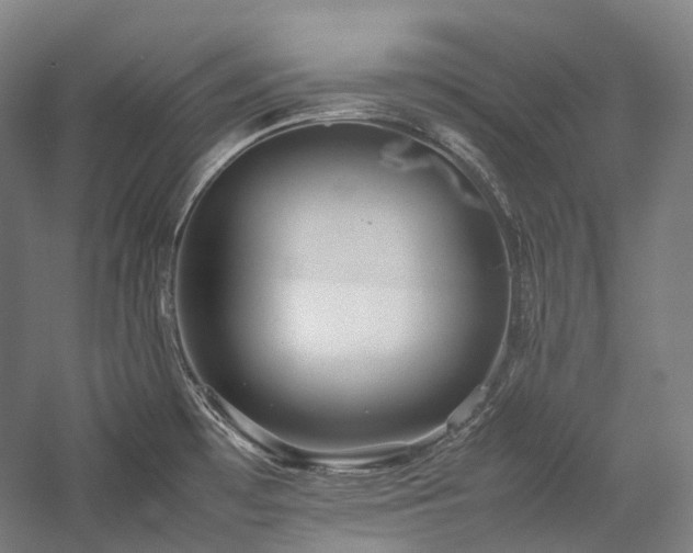 X0000057101481200509091150