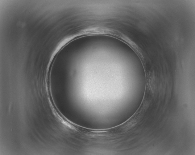 X0000057101486200509091150