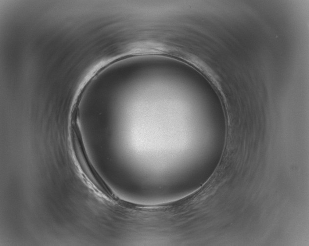 X0000057101488200509091150