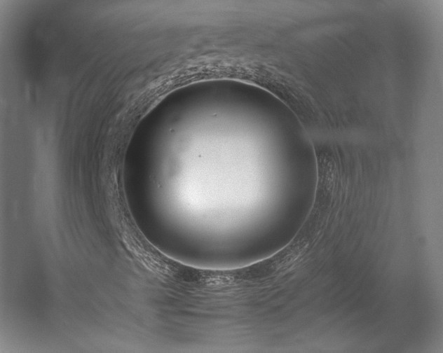 X0000057101489200509091150