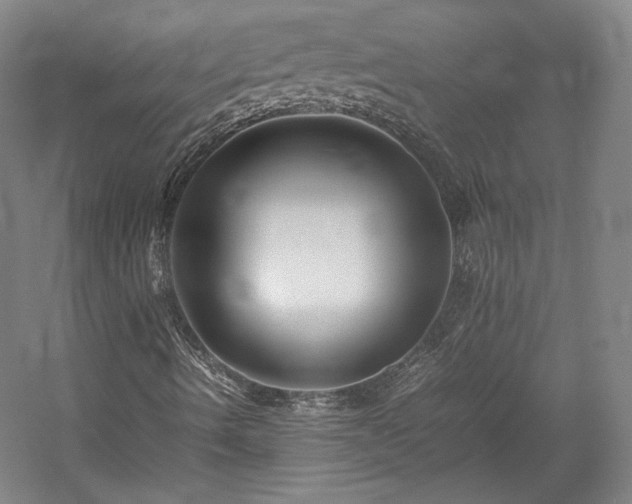 X0000057101490200509091150