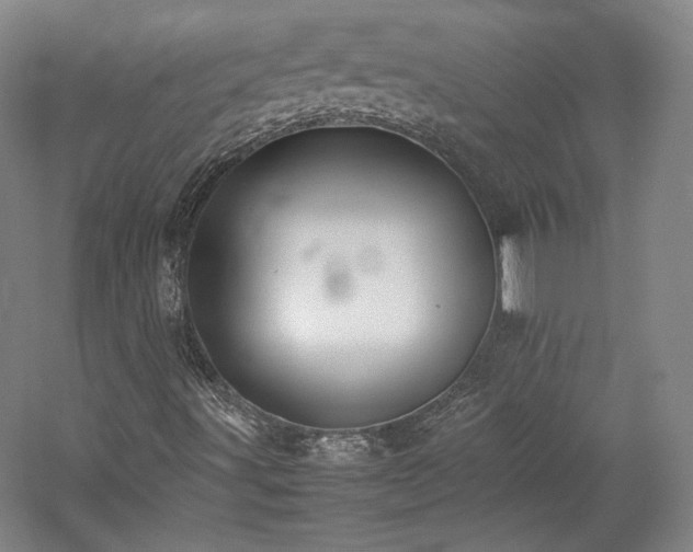 X0000057101491200509091150