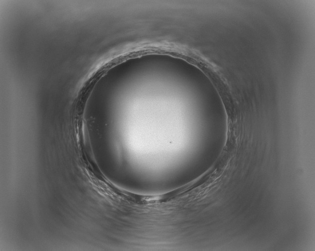 X0000057101496200509091150