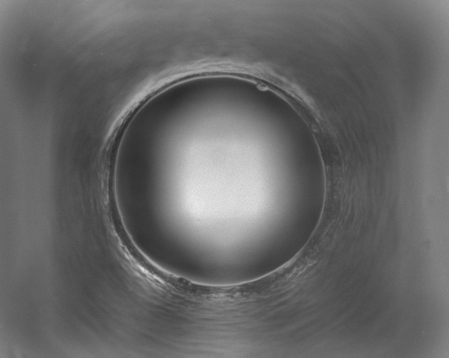 X0000057101504200509091150