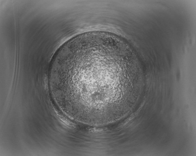 X0000057101505200509091150