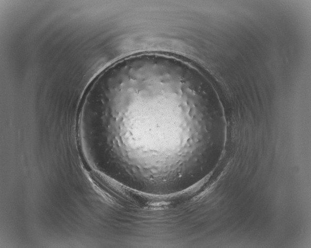 X0000057101513200509091150