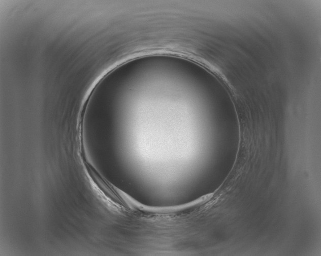 X0000057101524200509091150