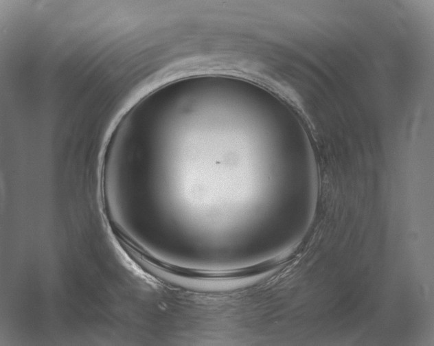 X0000057101528200509091150