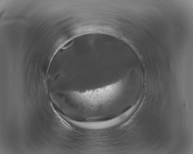 X0000057101529200509091150