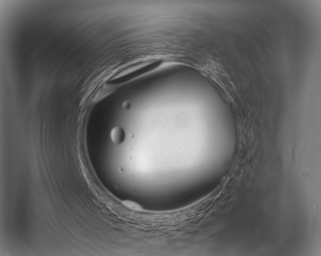 X0000057100001200509121020