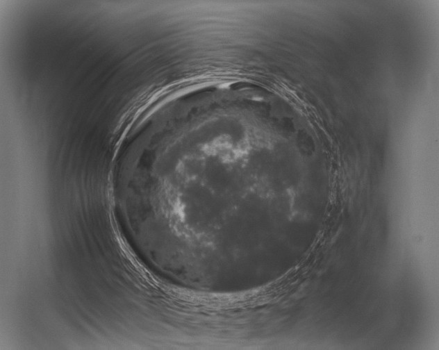 X0000057100002200509121020