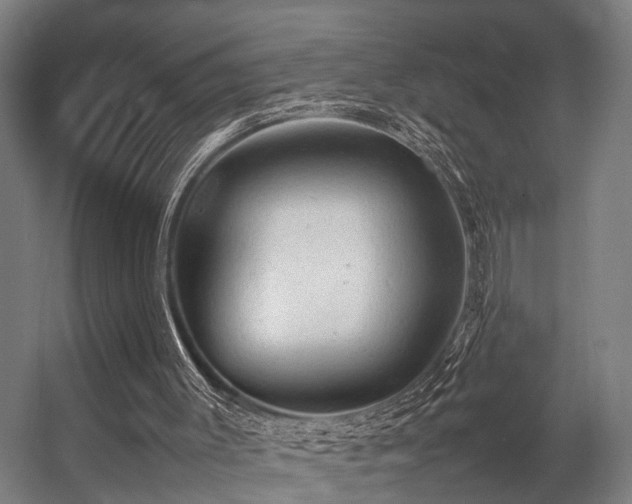 X0000057100003200509121020