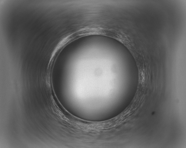 X0000057100004200509121020