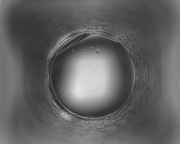 X0000057100005200509121020