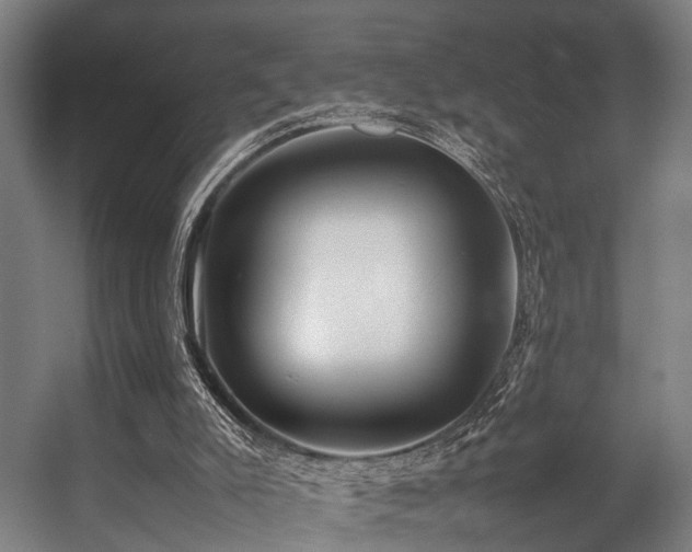 X0000057100007200509121020