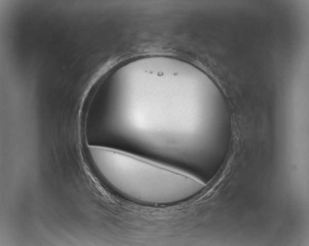 X0000057100008200509121020