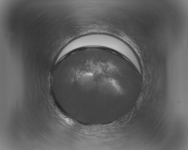 X0000057100009200509121020