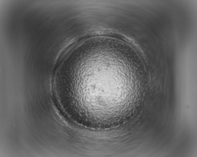 X0000057100010200509121020