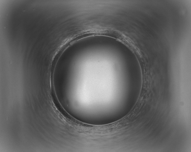 X0000057100011200509121020