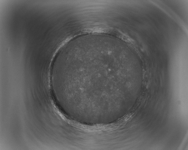 X0000057100012200509121020