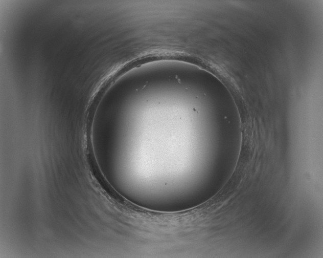 X0000057100015200509121020