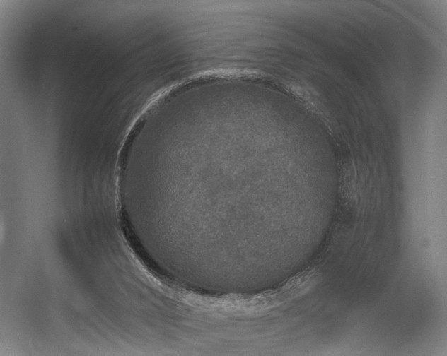 X0000057100016200509121020