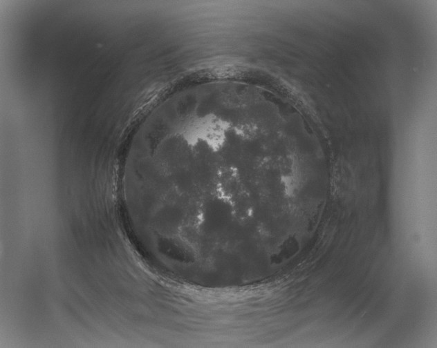 X0000057100018200509121020