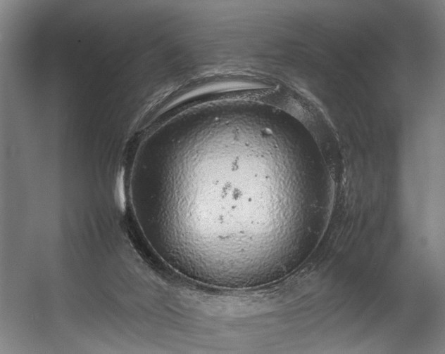 X0000057100020200509121020