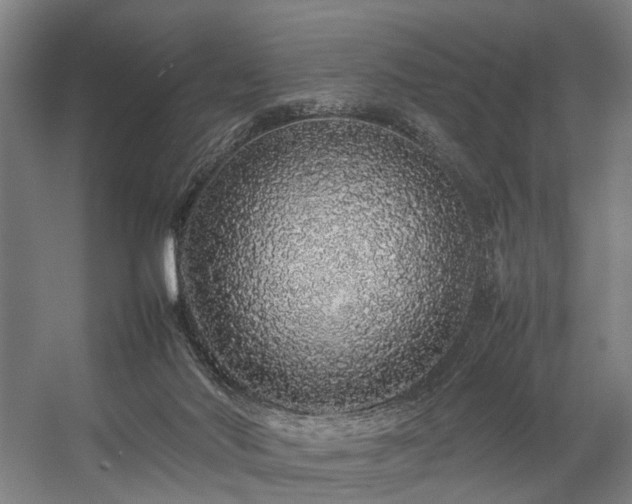 X0000057100022200509121020