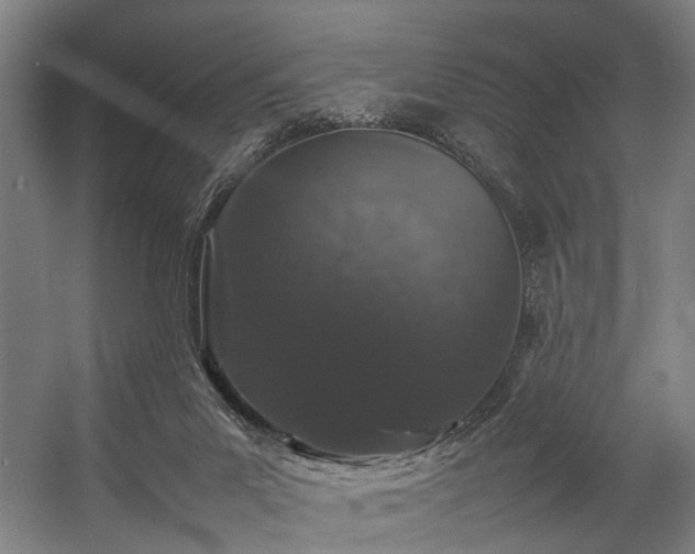 X0000057100023200509121020