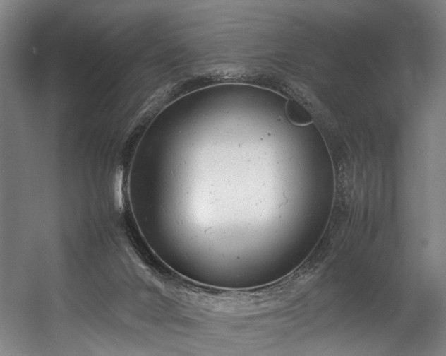 X0000057100024200509121020