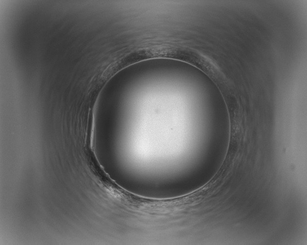 X0000057100025200509121020