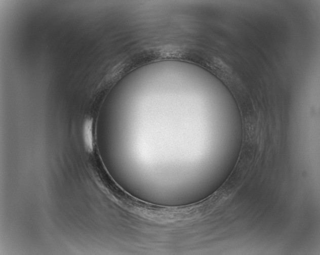 X0000057100028200509121020