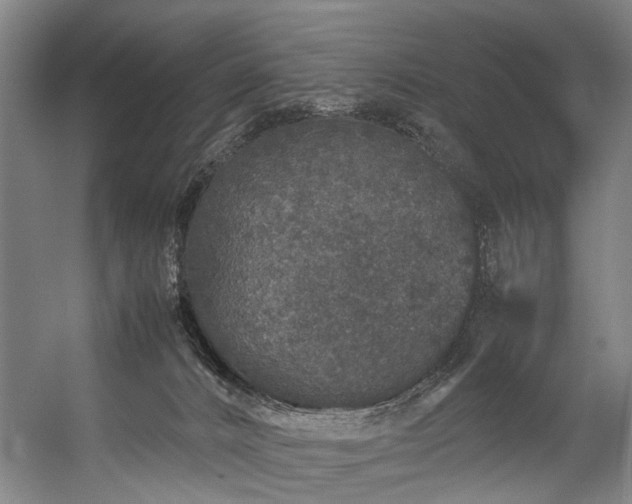 X0000057100032200509121020